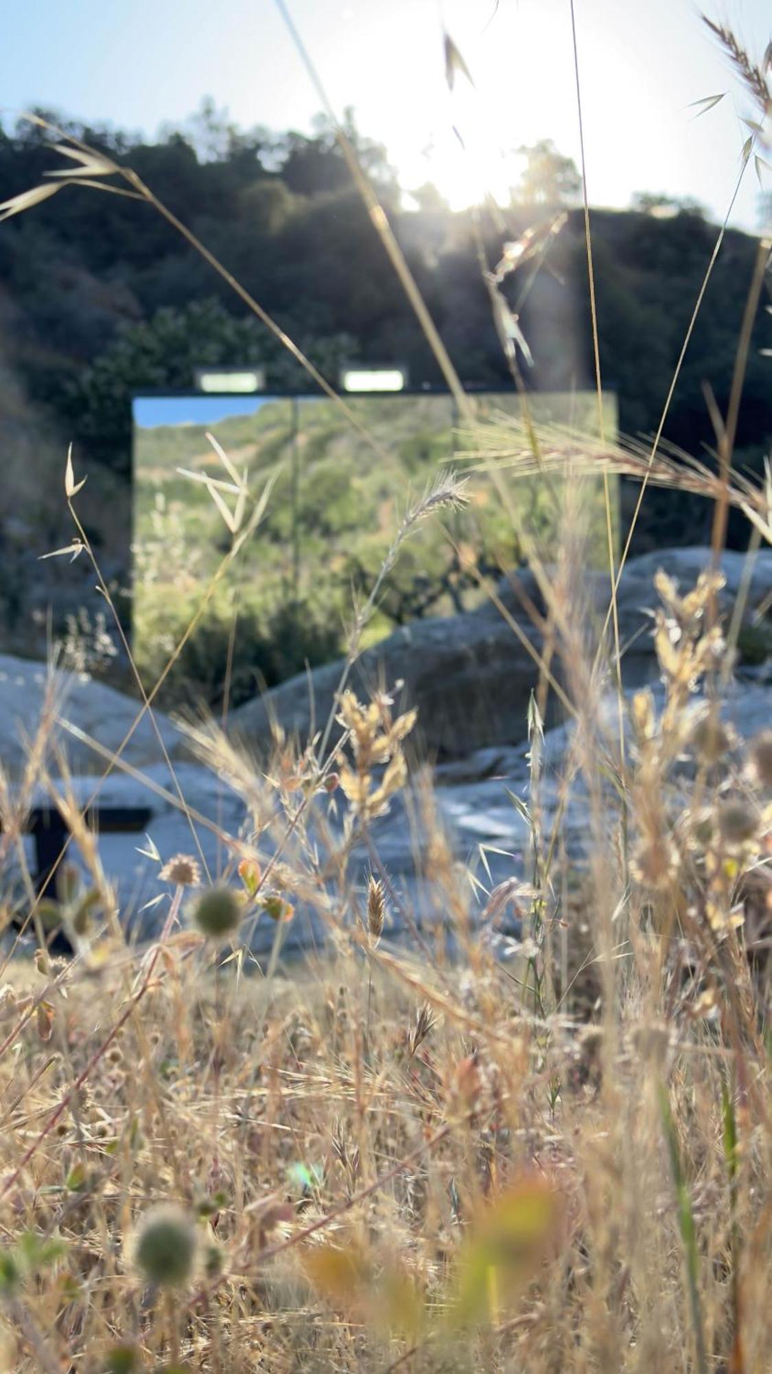 Paradise Ranch - Lucky Tent *