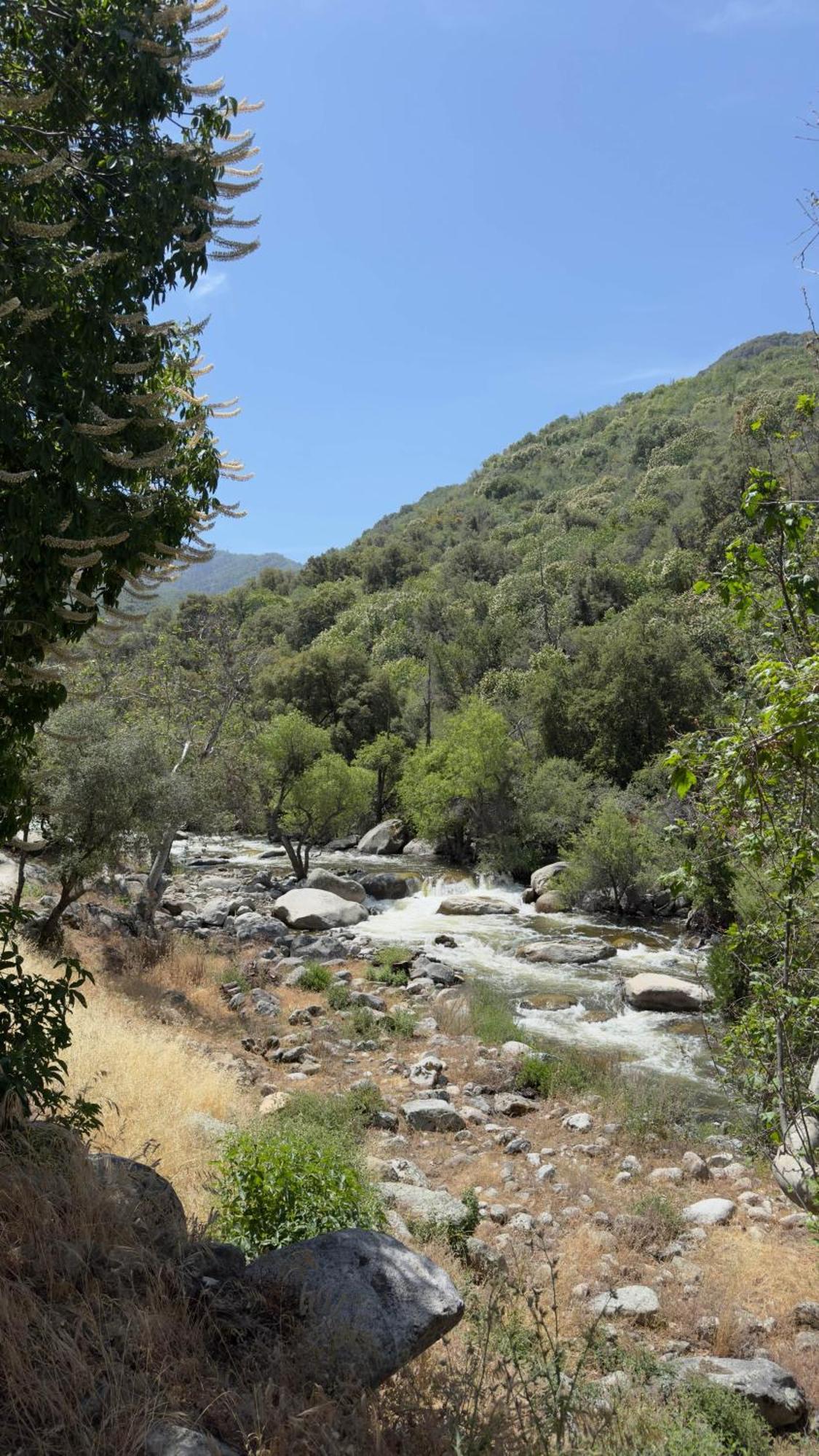 Paradise Ranch - Lucky Tent Luxury tent